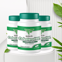 Colesterol X3 – Tratamiento Natural para el Control del Colesterol